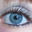 silber/blau