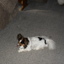 SAM_0111