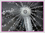 sommer_dusche