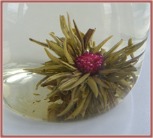 allmytea_teeblume
