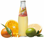 schwepps_summer