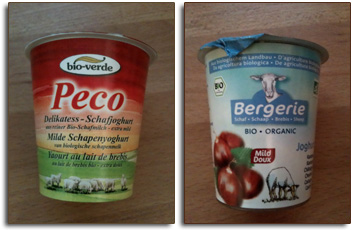 schafjoghurt
