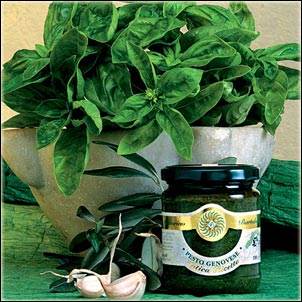 pesto_gustini