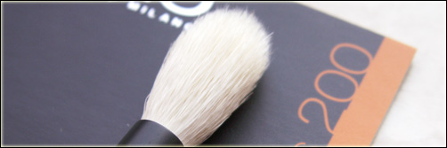Kiko – Pinsel 200