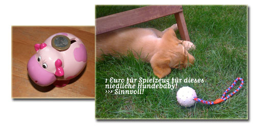 Tag 5